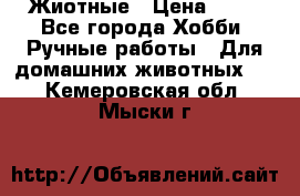 Жиотные › Цена ­ 50 - Все города Хобби. Ручные работы » Для домашних животных   . Кемеровская обл.,Мыски г.